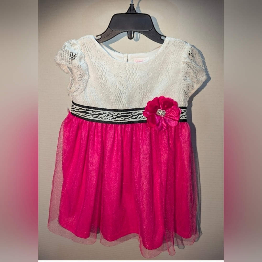SZ 4T Youngland Toddler Girls Hot Pink Zebra Print Tulle Dress